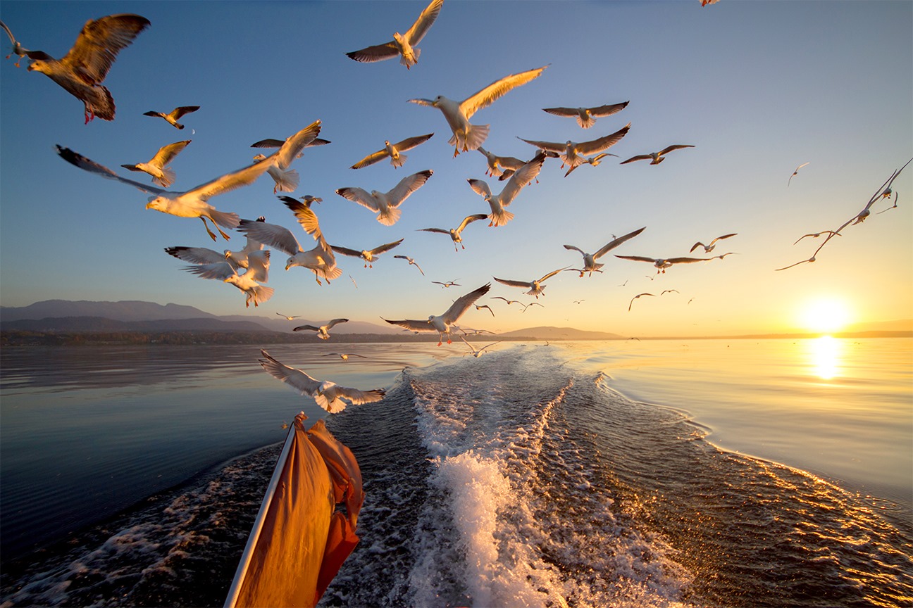 Le lac à Anthy au soleil couchant