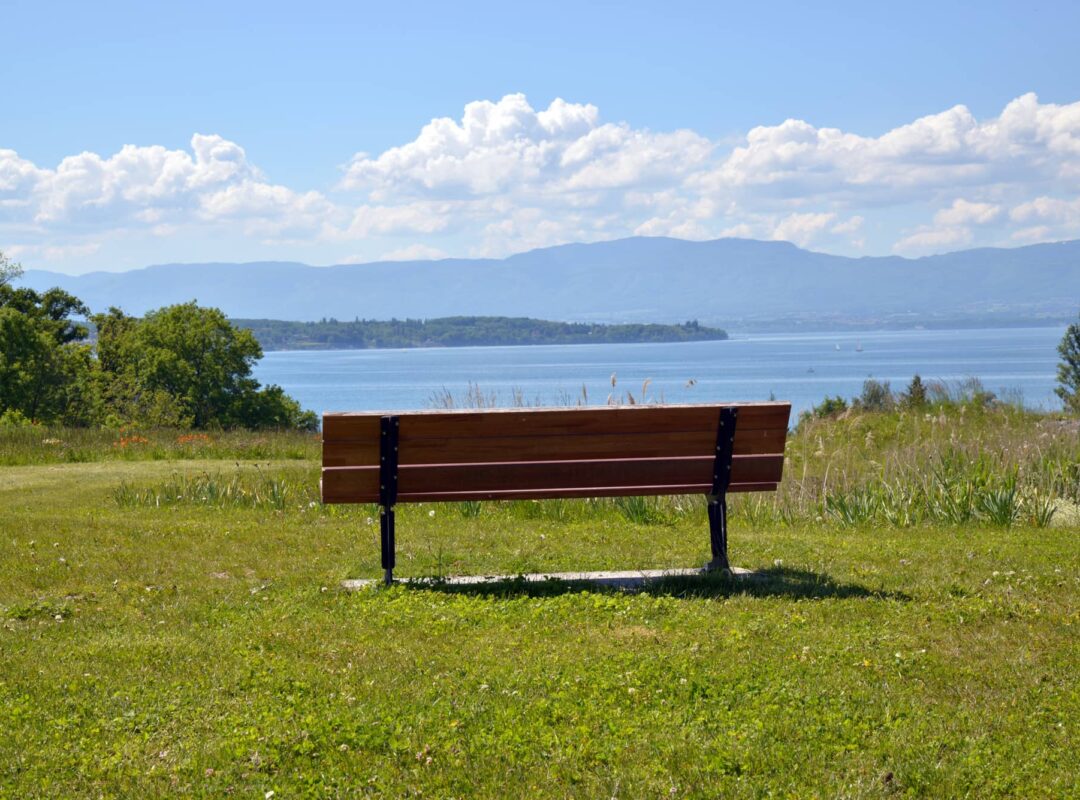 Image du lac Léman à Anthy